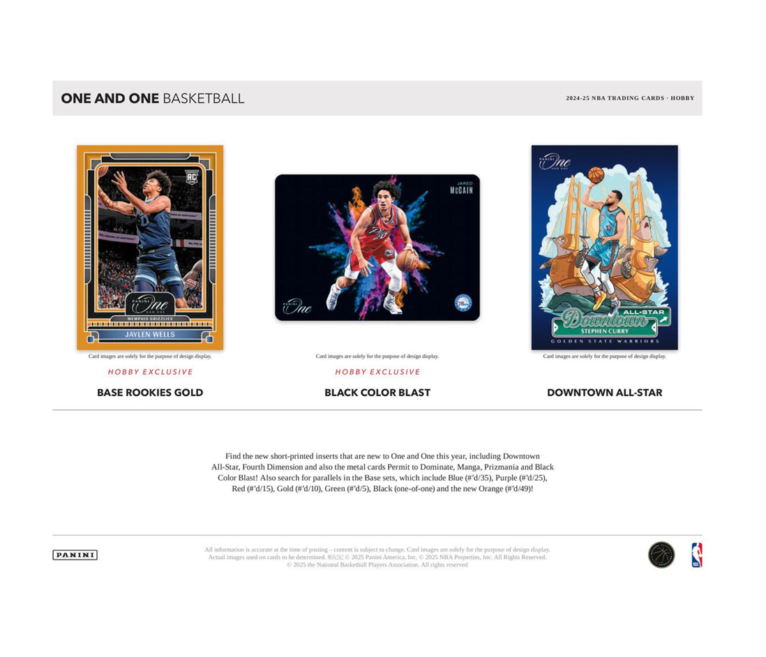 2024-25 Panini One & One Basketball Hobby 10-Box Case