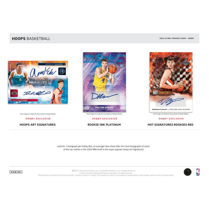 2024/25 Panini Hoops Basketball Hobby 20 Box Case image 2