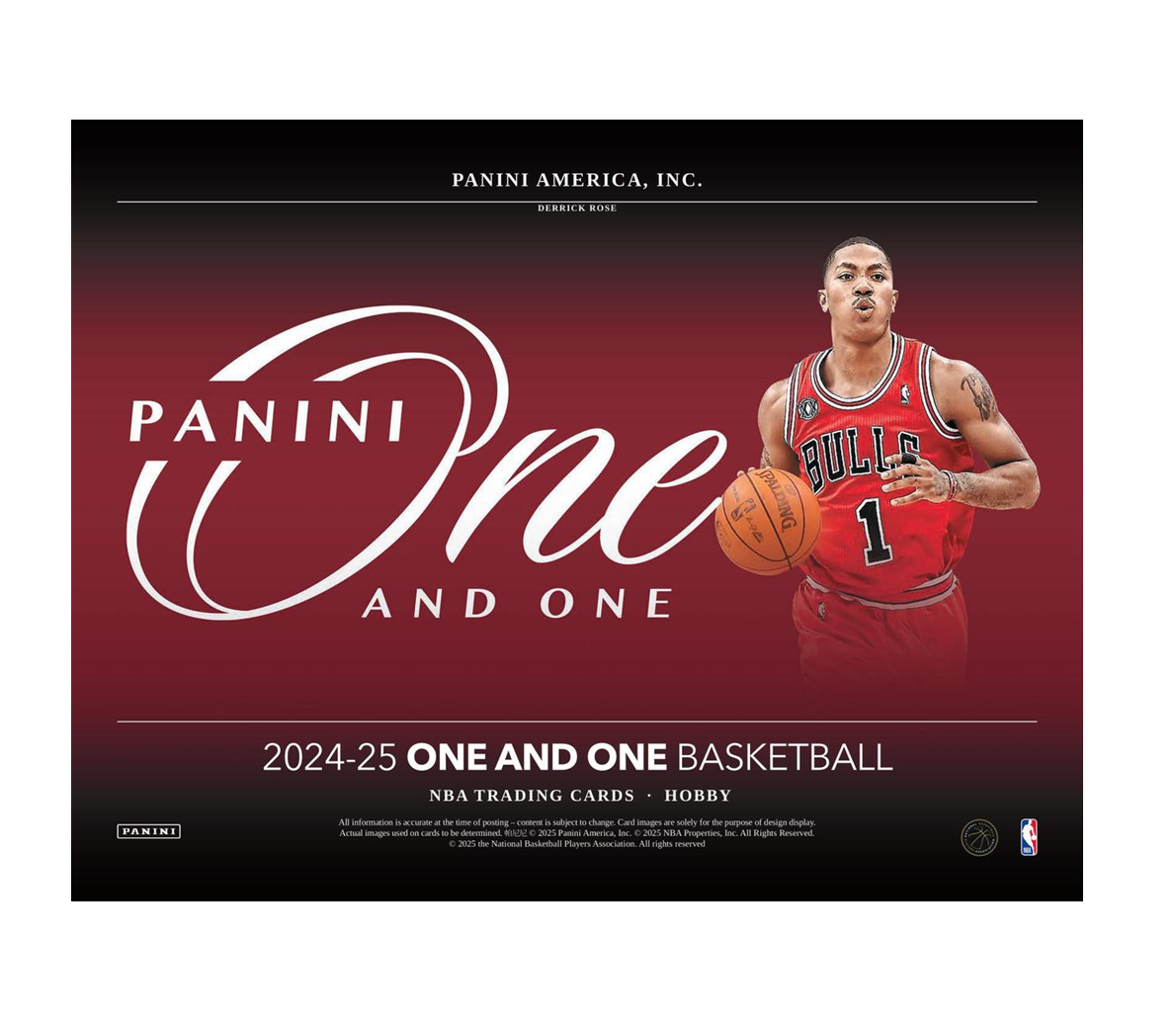 2024-25 Panini One & One Basketball Hobby 10-Box Case